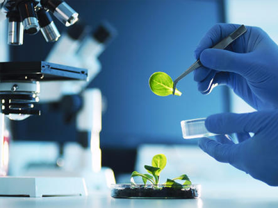 生物技術(shù)制藥