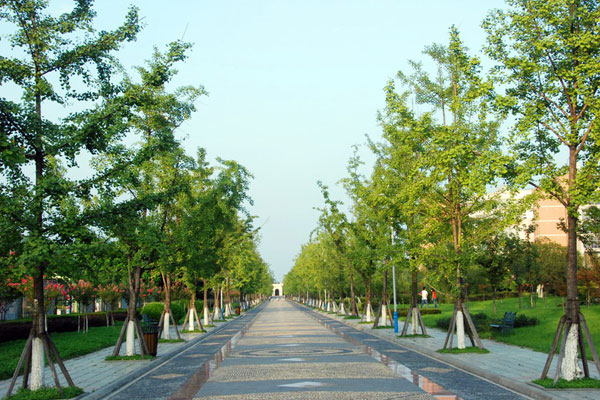 成都信息工程學(xué)院 (12)