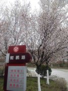 四川省梓潼中學(xué)