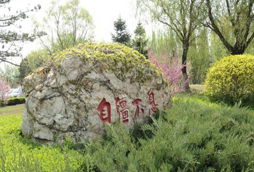 武漢第二衛(wèi)生學校