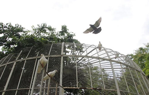 自貢電子信息職業(yè)技術(shù)學(xué)校