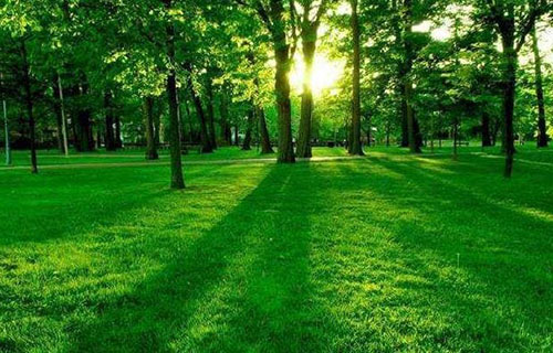 樂山職業(yè)技術(shù)學(xué)院