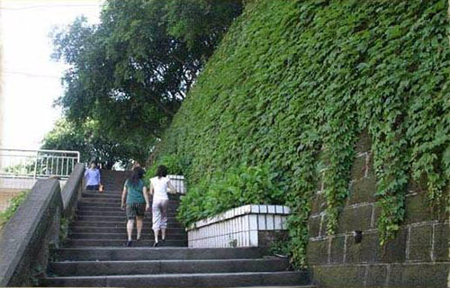 邛崍市技工學(xué)校