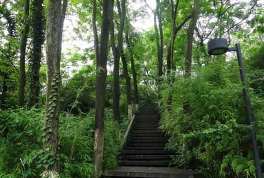 重慶人文科技學院成人教育學院