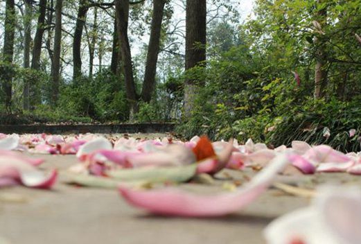 重慶人文科技學院成人教育學院