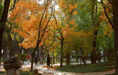 四川筠連縣職業(yè)技術(shù)學(xué)校