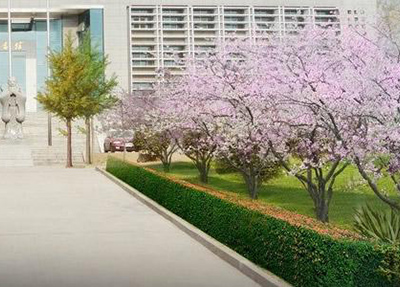 四川蜀都衛(wèi)生學校