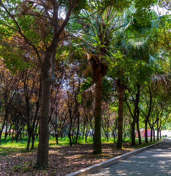 宜賓南亞電子職業(yè)技術(shù)學(xué)校