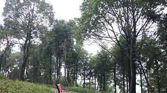 宜賓南亞電子職業(yè)技術(shù)學(xué)校