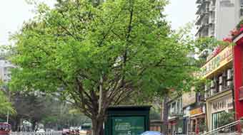 宜賓南亞電子職業(yè)技術(shù)學(xué)校