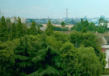 眉山信息工程中等職業(yè)技術學校