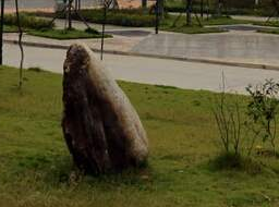 綿陽服裝職業(yè)技術(shù)學(xué)校