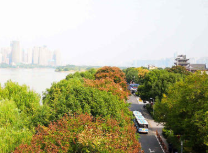 樂山大佛文武學(xué)校