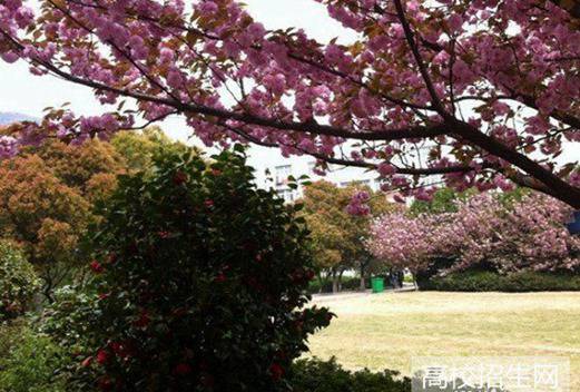 成都市現(xiàn)代職業(yè)技術(shù)學(xué)校