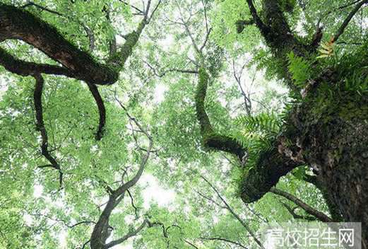 四川省質(zhì)量技術(shù)監(jiān)督學(xué)校