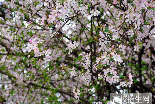四川省質(zhì)量技術(shù)監(jiān)督學(xué)校