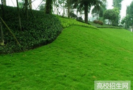 宜賓職業(yè)技術(shù)學(xué)院