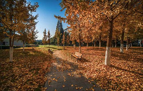 合水職業(yè)中學