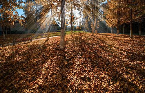 合水職業(yè)中學