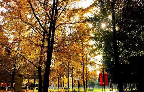 合水職業(yè)中學