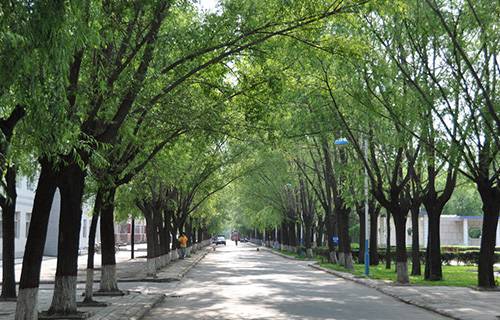 玉門職業(yè)中學(xué)