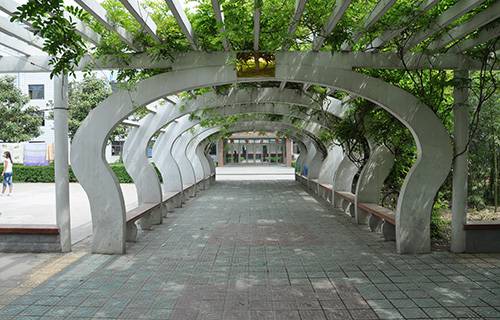 安徽淮北衛(wèi)生學(xué)校