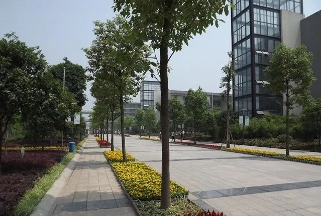 重慶市商務(wù)學(xué)校