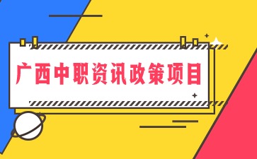 廣西中職資訊政策項目