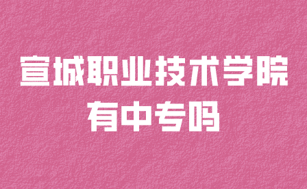 宣城職業(yè)技術學院中專