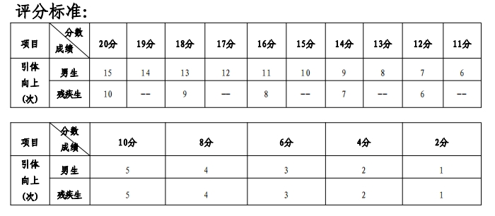 引體向上（男）評分標準