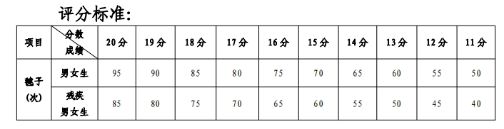 踢毽子評分標準