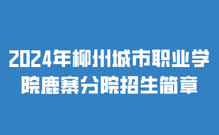 柳州城市職業(yè)學(xué)院鹿寨分院
