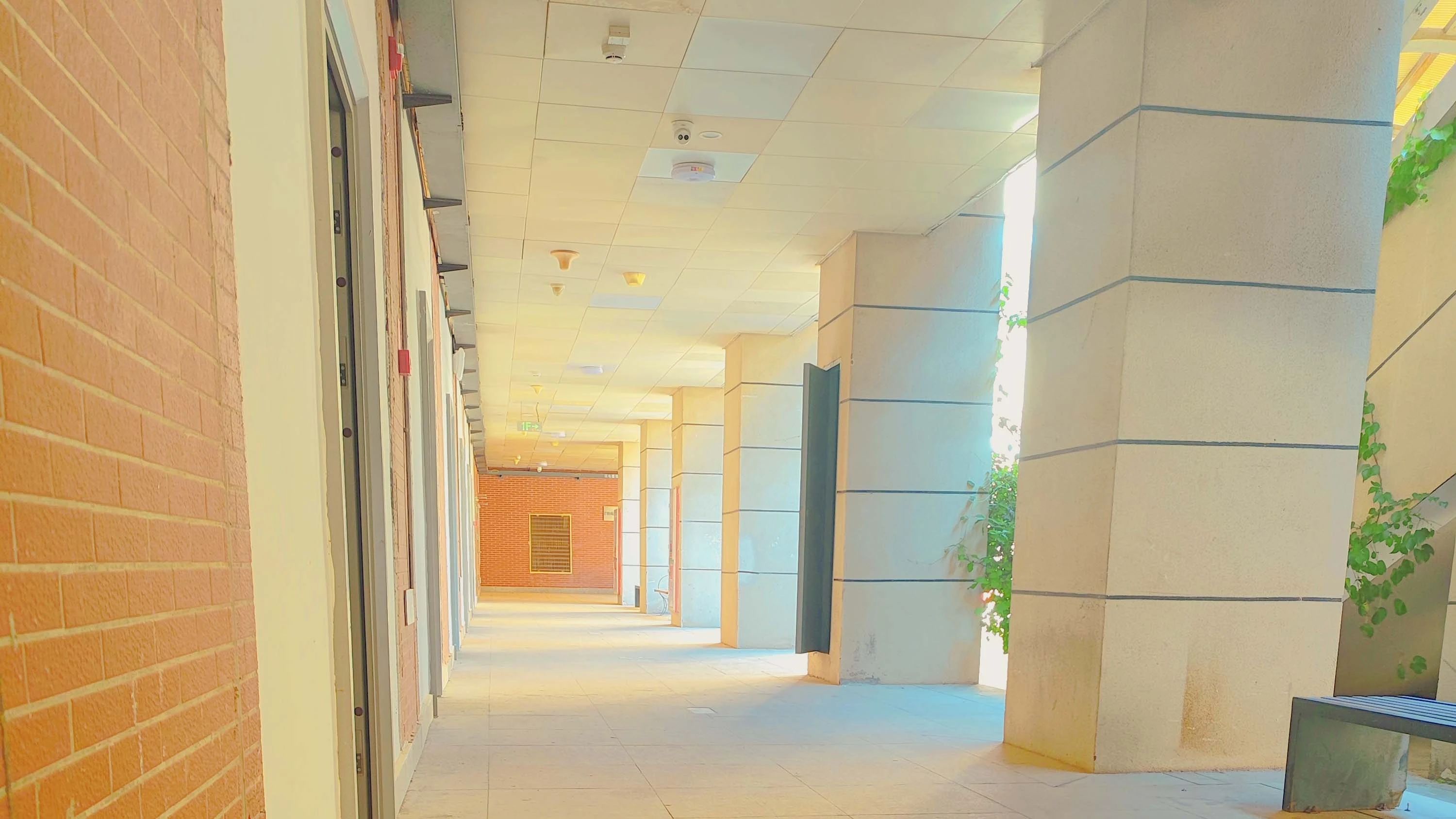 福建寶藏技校推薦：廈門翔云技術學校