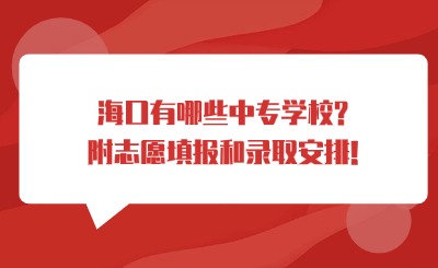 ?？谟心男┲袑W(xué)校?附志愿填報和錄取安排!
