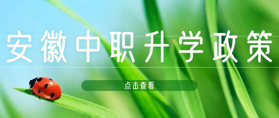 安徽中職升學政策
