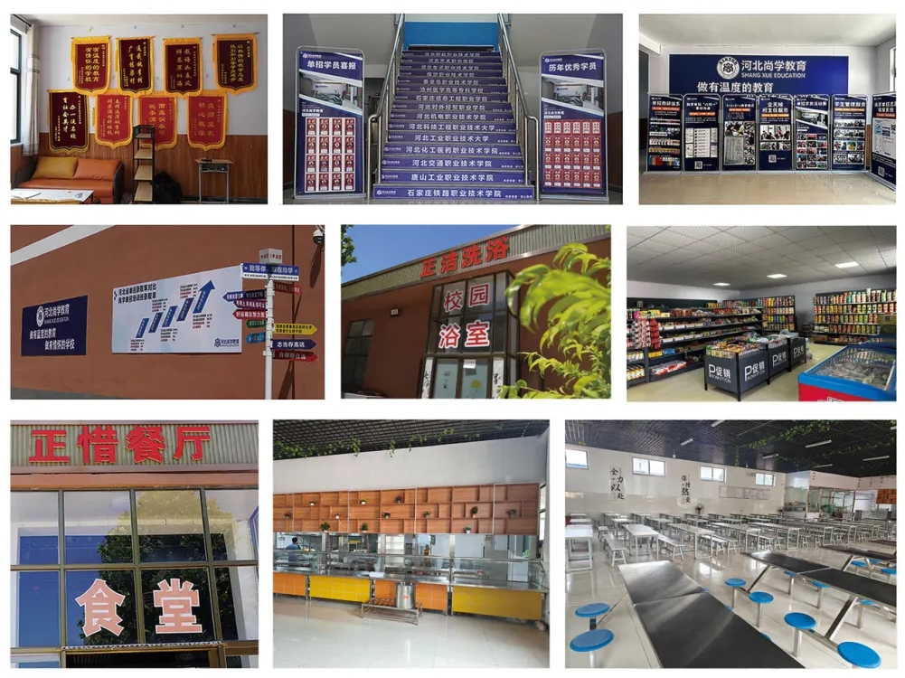 2026年河北單招升學招生簡章！復(fù)讀生可報名~