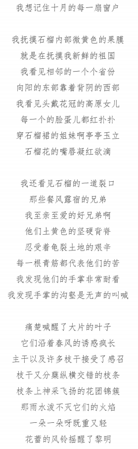 表（導(dǎo)）演類試題2